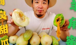 比较热门的网红吃瓜,盘点热门事件背后的真相与笑料